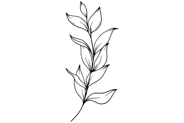 Stylized Line Drawing of a Plant