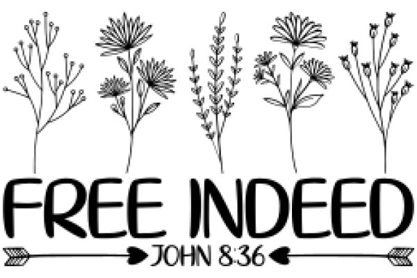 Free Indeed: John 8:36