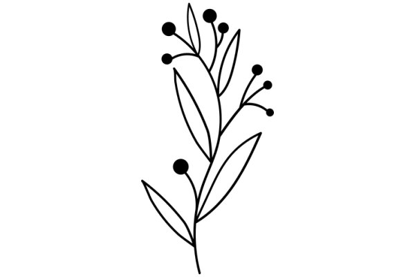 Stylized Line Drawing of a Plant with Rounded Leaves and Stems