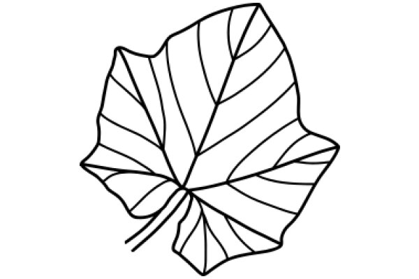 Simplistic Line Drawing of a Leaf