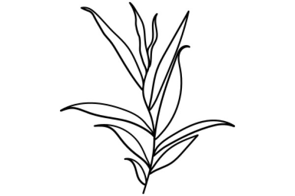 Stylized Line Drawing of a Plant