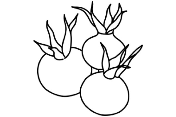 Line Drawing of a Bundle of Fruit