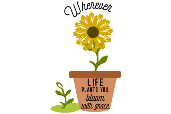 Wherever Life Plants You, Bloom with Grace