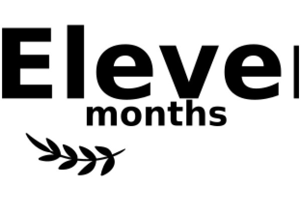 Eleven Months: A Graphic Design