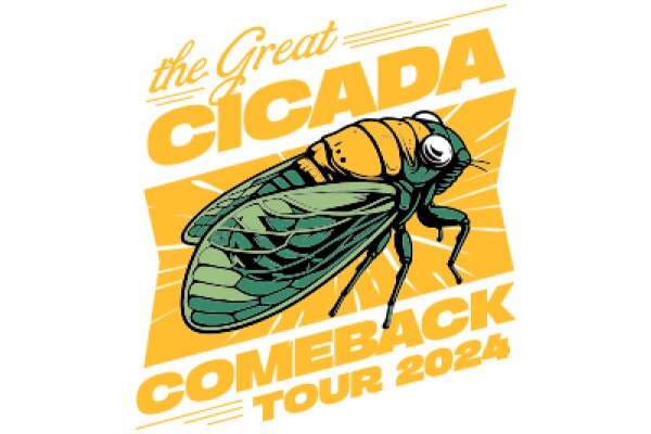 The Great Cicada: A 2024 Tour Experience