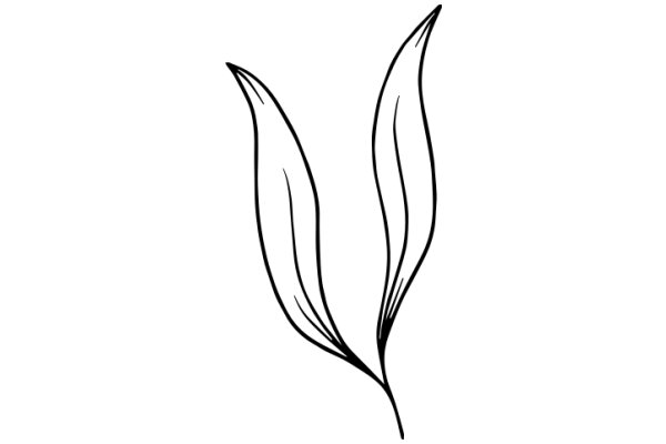 Stylized Artwork of Two Leaf-like Shapes