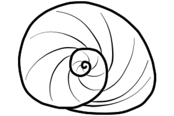 A Simple Line Drawing of a Snail Shell