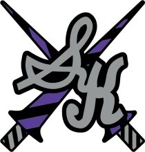 Stylized Logo of a Sword with a Purple and Black Design