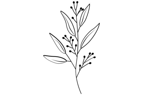 Simplistic Line Drawing of a Plant