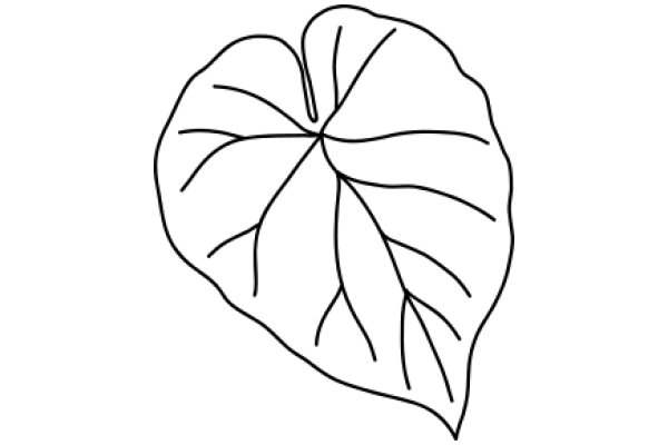 Simplistic Line Drawing of a Heart-Shaped Leaf