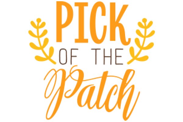 Pick of the Patch: A Guide to the Best of the Season