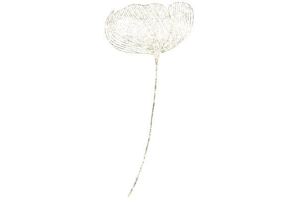 A Delicate Art: The Beauty of Hand-Drawn Flower