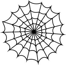 Black and White Spider Web