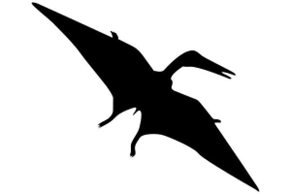 Silhouette of a Flying Bird