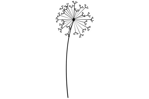 A Single Dandelion Flower in