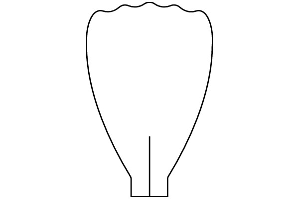 Simplified Line Drawing of a Vase