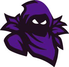 Vibrant Purple Ninja Mask: A Symbol of Mystery and Adventure