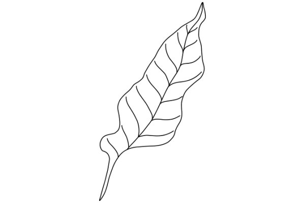 Simplistic Line Drawing of a Leaf