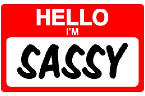 Hello, I'm Sassy: A Playful Take on AI Personality