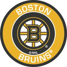 Boston Bruins Logo: A Symbol of Pride and Passion