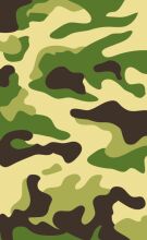 Camouflage Pattern: A Closer Look at the Art of Disguise