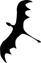 Silhouette of a Bat in Flight