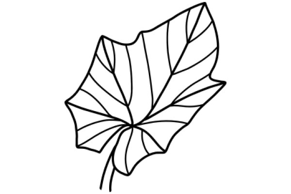 Simplistic Line Drawing of a Leaf