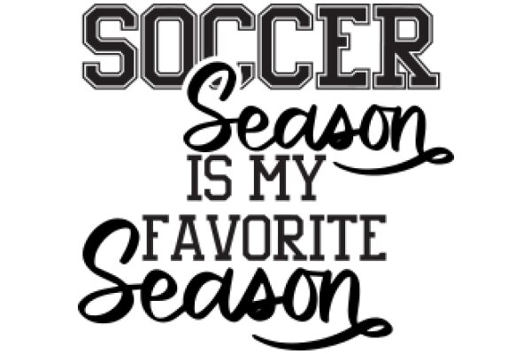 Soccer Season: A Fan's Perspective