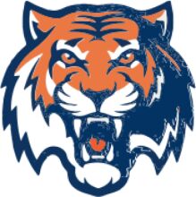 Vivid Tiger Logo on a White Background