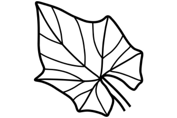 Stylized Leaf Design