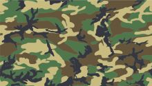 Digital Camouflage Pattern: A Modern Take on Military Design