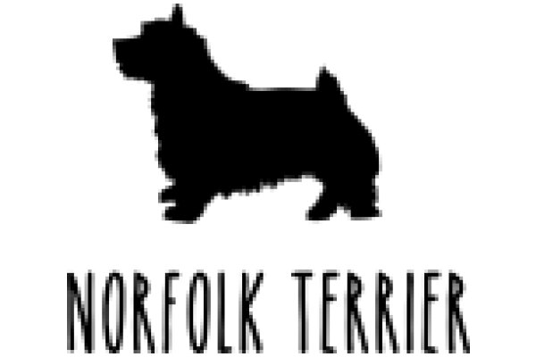 Norfolk Terrier: A Silhouette of a Loyal Companion