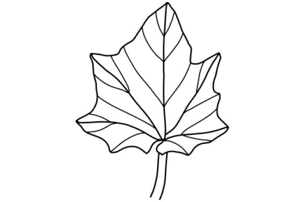 Simplistic Line Drawing of a Maple Leaf