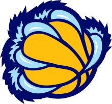 Vibrant and Stylized Basketball Logo