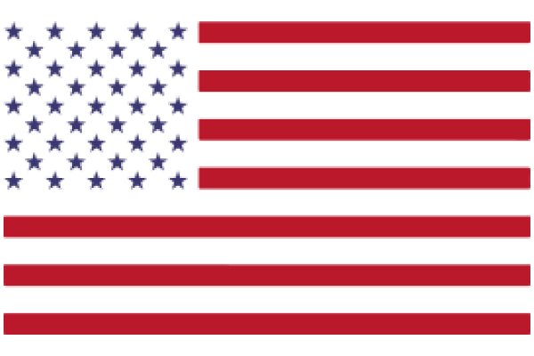 United States Flag with a Star-Studded Background