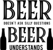 Beer, Don't Ask Silly Questions: A Guide to Understanding Beer