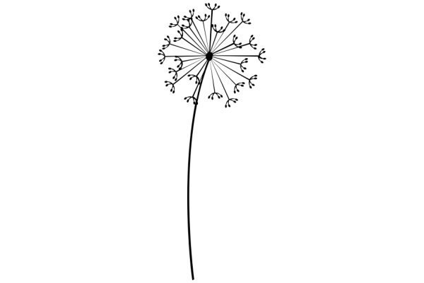 A Single Dandelion Seed