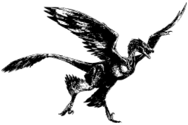 Stylized Illustration of a Bird with Spread Wings