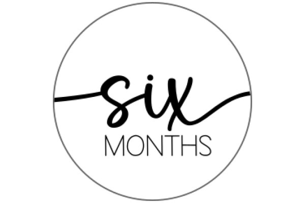 Six Months: A Graphic Design Project