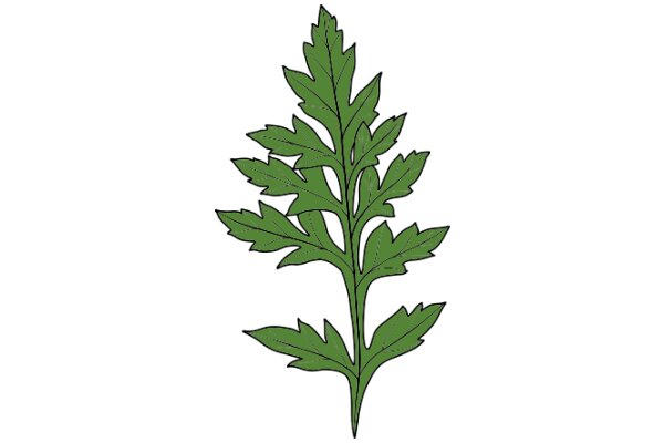 Vibrant Green Leafy Plant Illustration