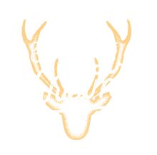 Stylized Antler Design in Yellow