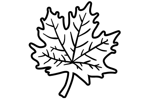 A Simple Line Drawing of a Maple Leaf