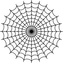 Black and White Spider Web Design