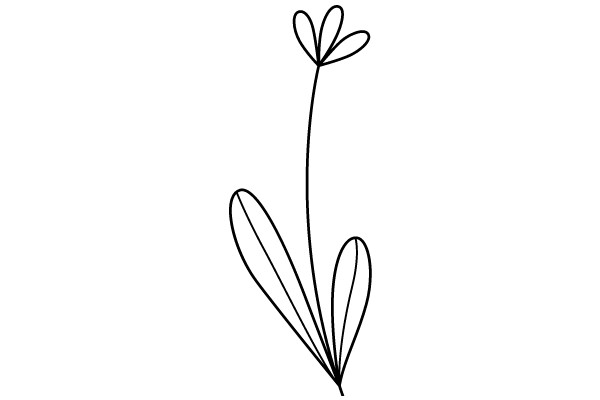 Simplicity in Art: A Line Drawing of a Flower