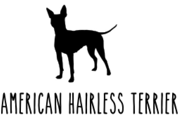 American Hairless Terrier: A Breed Profile