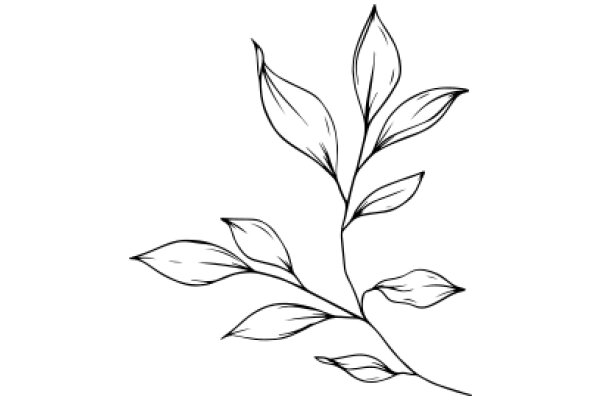 Stylized Line Art of a Flowering Plant