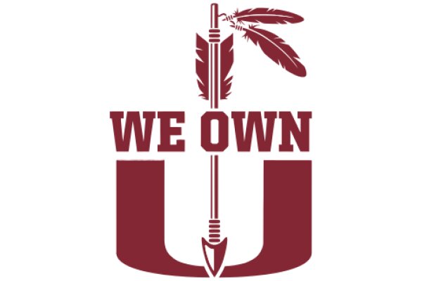 We Own: A Symbol of Native American Pride and Resistance