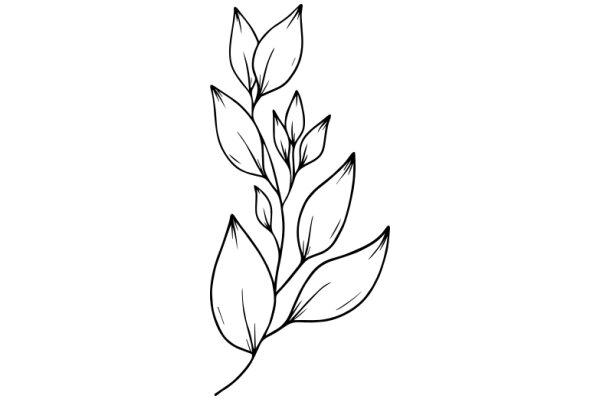 Stylized Line Drawing of a Plant with Leaves and Flowers