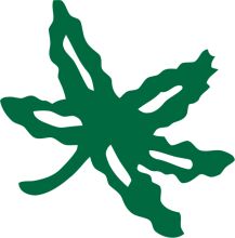 Stylized Green Flower Logo