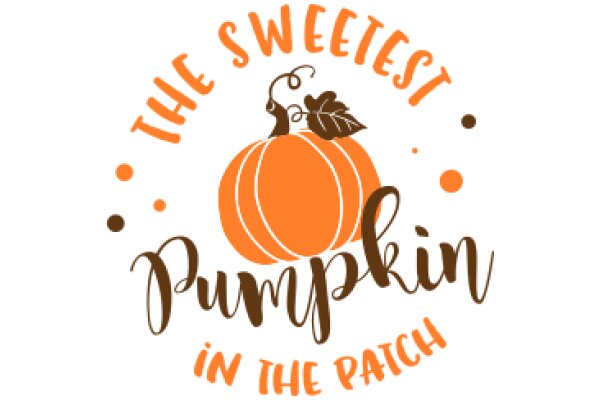 The Sweetest Pumpkin Patch